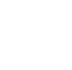 Little Pioneers